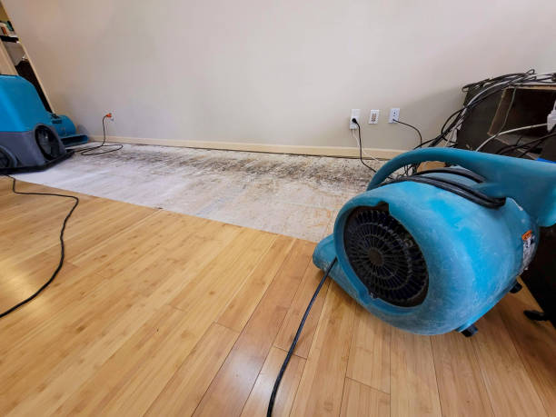 Professional Sewage Cleanup technician working in Stratton, OH